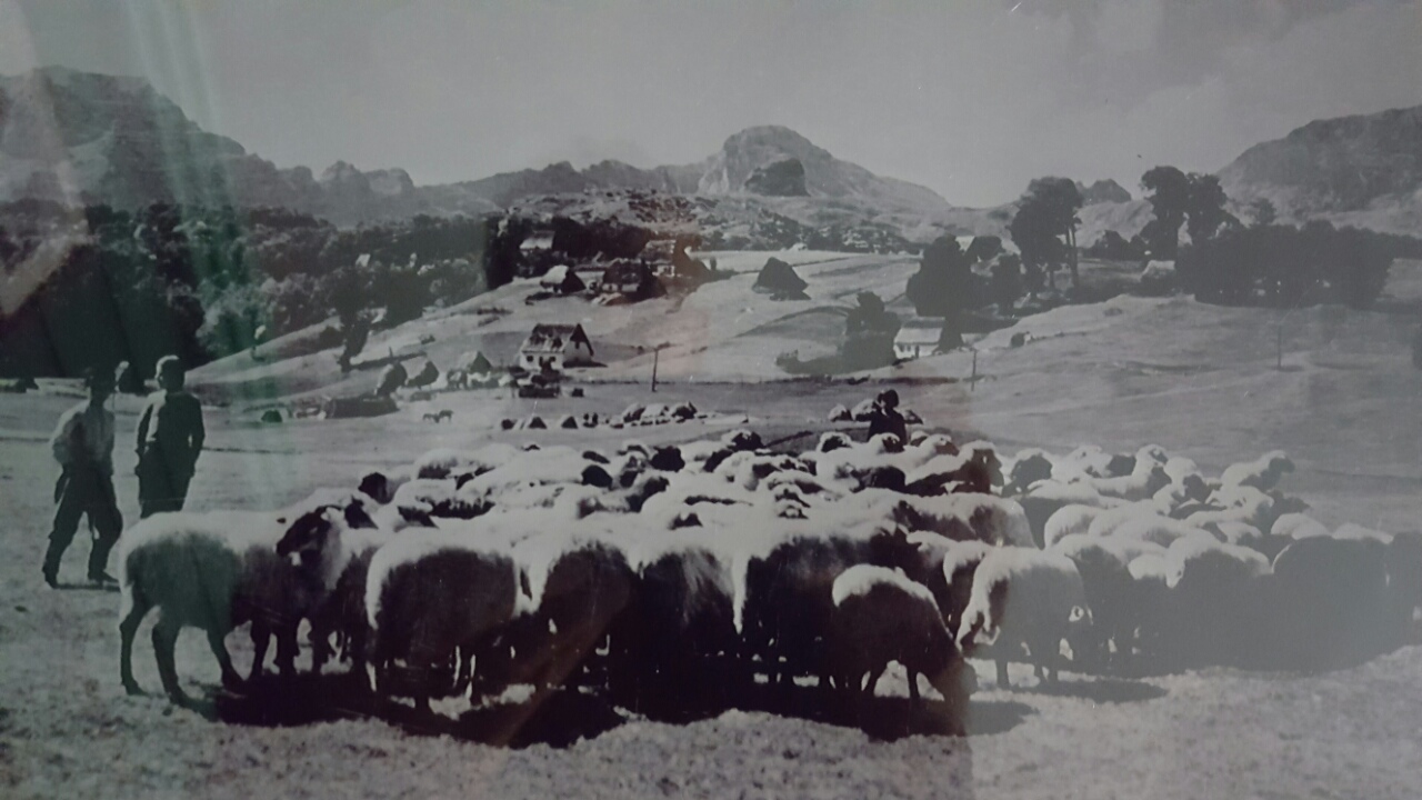 СТАРЕ ФОТОГРАФИЈЕ | Братство Крстајића